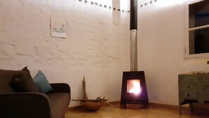 A cozy living room with a sofa, a small table with a plant, a white rug, and a wood-burning stove.