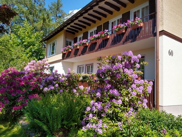 Un immeuble de deux étages doté de balcons ornés de jardinières et d’un jardin luxuriant où poussent des fleurs violettes.