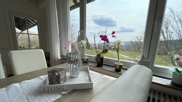 Une pièce avec vue sur un paysage verdoyant, une table avec un plateau, une chaise et un radiateur.