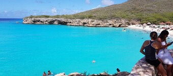 Curacao NEW Dive Resort 2025 (with many Dive and Snorkeling Hotspots)