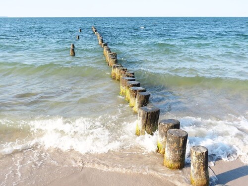 quiet thatched roof house, close to the dune forest, sauna, fireplace, WiFi, 2 bedrooms