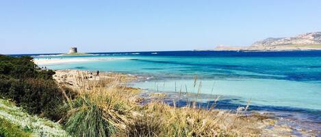 Playa en los alrededores, camastros y toallas de playa