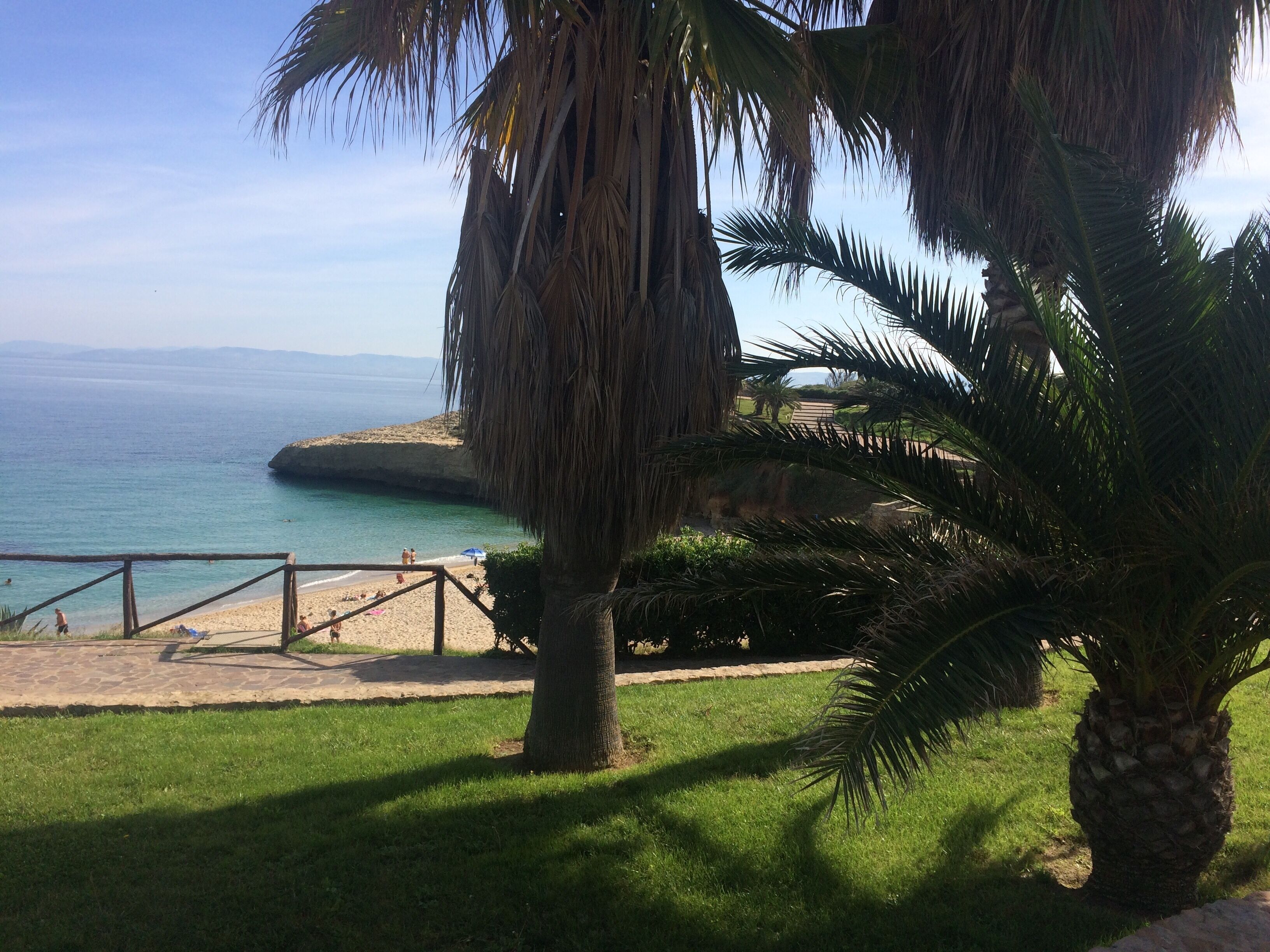 A coastal view with a beach, palm trees, and a clear sky.