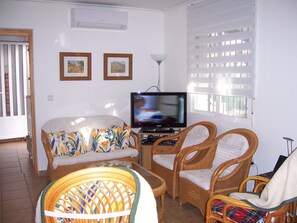 TV connectée, cheminée, lecteur de DVD, livres