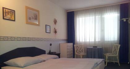 Cosy Apartment in the City