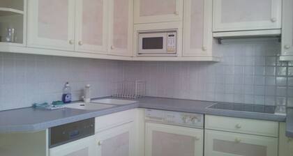 Cosy Apartment in the City