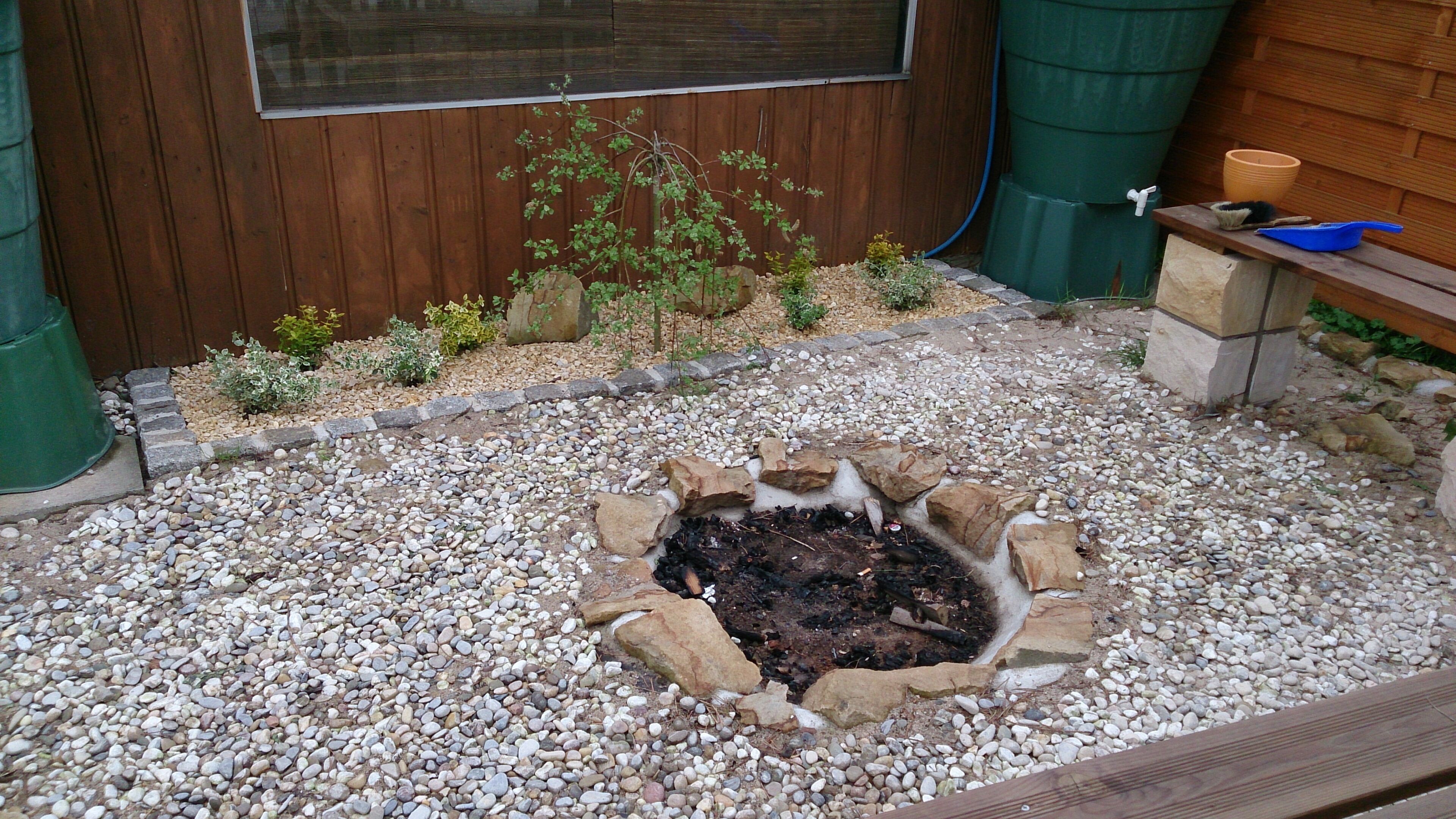 A garden with a gravel path, a small tree, and a wooden bench.