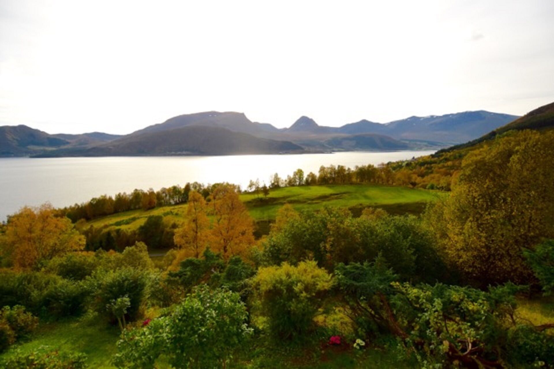 Vista panorámica de un lago rodeado de colinas y vegetación densa.