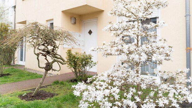 Ein Gebäude mit weißer Tür und Fenstern, umgeben von einem Garten mit blühenden Bäumen und Sträuchern.