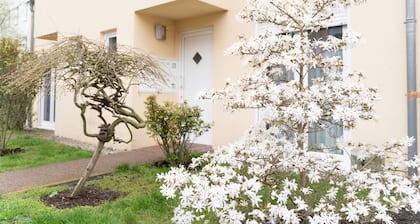 3 stars (DTV) 50m ² guest apartment between port and. old town