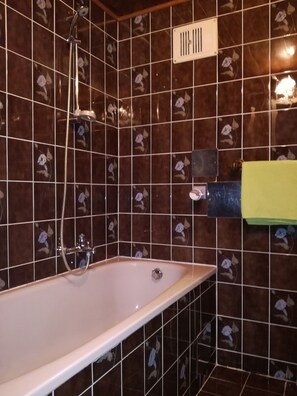 Combined shower/tub, hair dryer, towels, soap