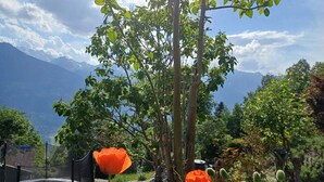 A garden with trees, a poppy flower, and a mountain view.