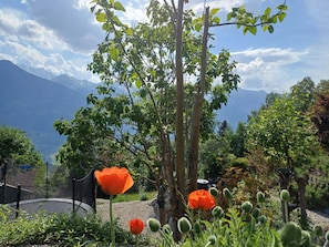 Un jardín con árboles, una amapola y vistas a la montaña.