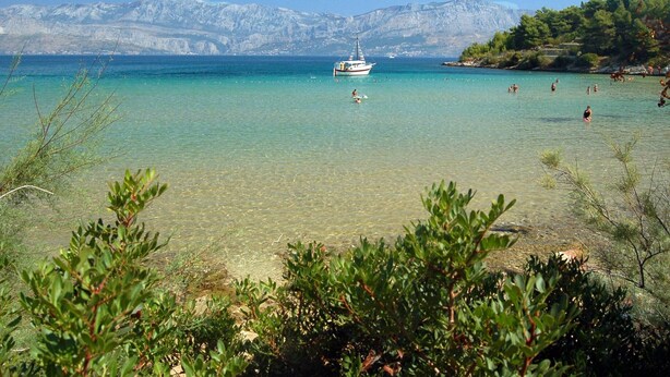 A clear coastal view with a boat in the water, mountains in the background, and greenery in the foreground.