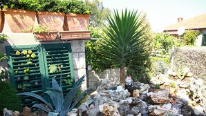 A garden with various plants and rocks, including a large agave plant and cacti.