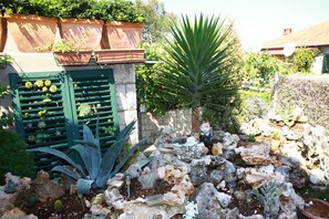 A garden with various plants and rocks, including a large agave plant and cacti.