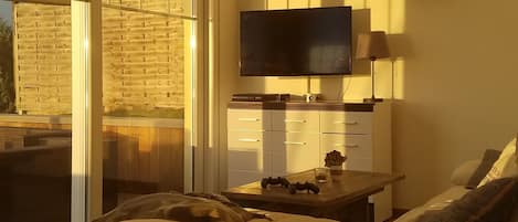 Smart TV, chimenea, videojuegos, reproductor de DVD