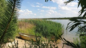 Una embarcación en una orilla arenosa con abundante vegetación y una masa de agua tranquila.