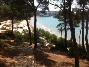 Playa en los alrededores