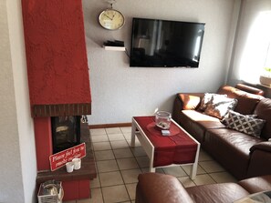 智能電視、壁爐、DVD 播放機、書籍