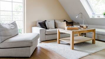 Smart-TV, Kamin, DVD-Player, Stereoanlage