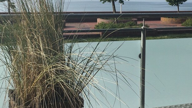 A balcony with a view of the sea, a potted plant, and a metal railing.