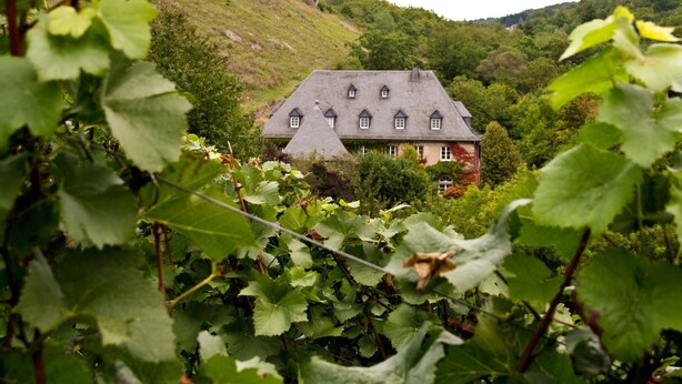A house surrounded by lush greenery and hills. - Apartment Marion Altenkirch (Rüdesheim am Rhein)