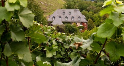 Apartamento Marion Altenkirch