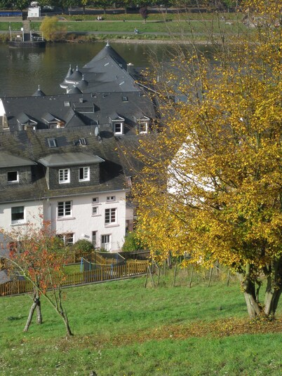 Vacation home for families or friends, dogs welcome