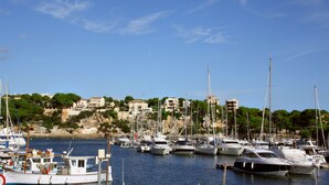 Un port de plaisance où sont amarrés différents types de bateaux, un ciel dégagé et, au loin, des bâtiments situés sur le flanc d’une colline.