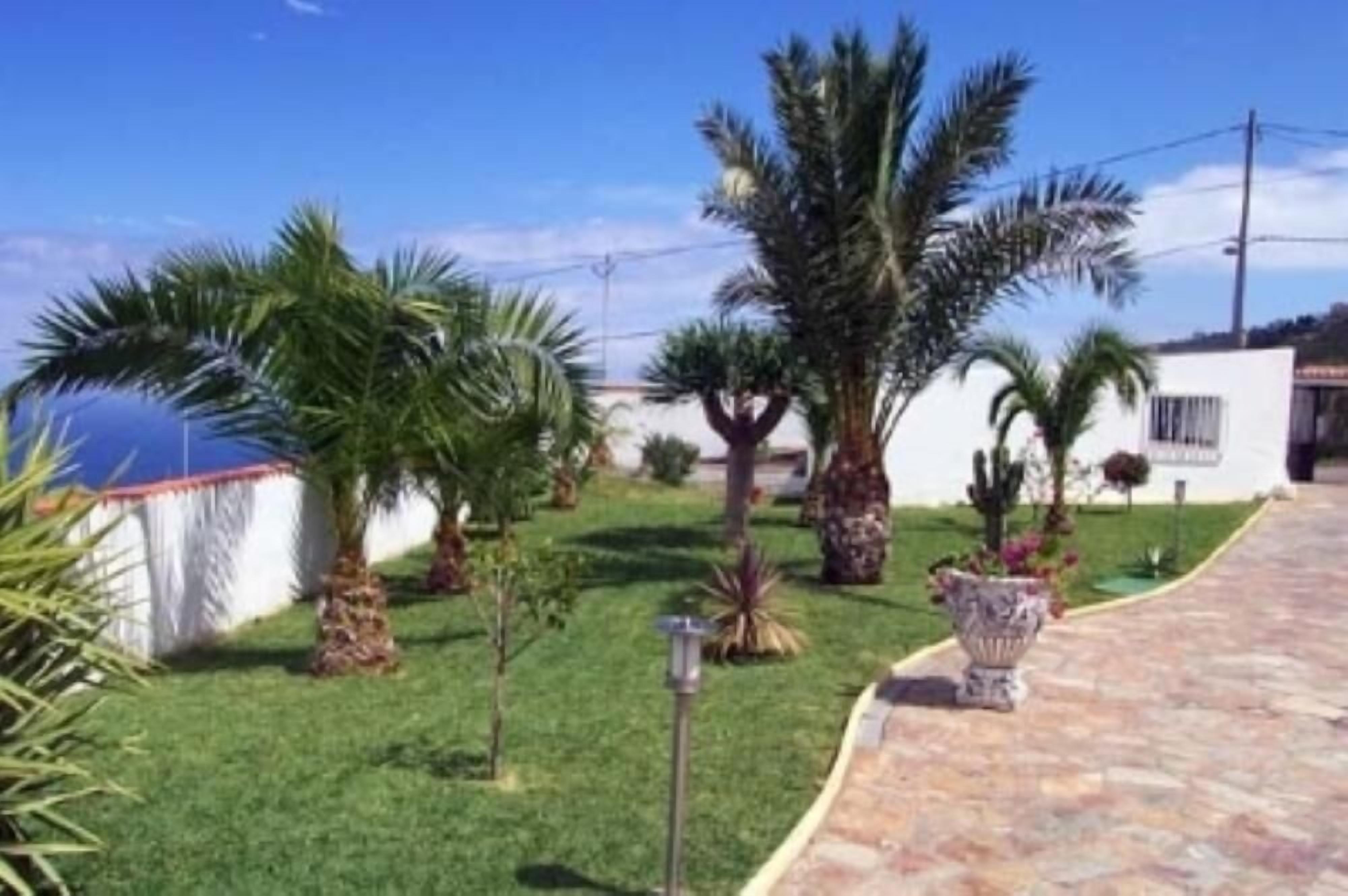 A well-maintained garden with palm trees and a paved pathway leading to a white building.