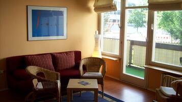 TV, DVD player, books, video library