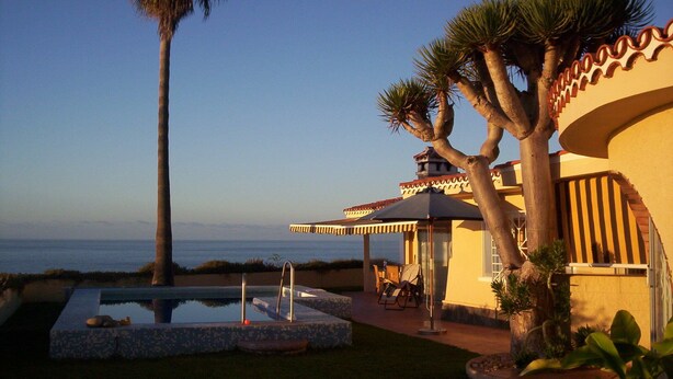 A pool area with a lounge chair and umbrella, a palm tree, and a view of the ocean.