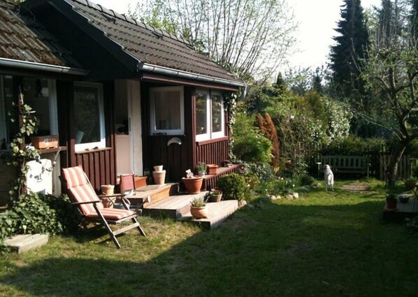 A house with a porch, a lawn, and a dog.