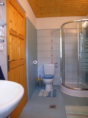Een badkamer met een houten deur, een toilet met een blauwe zitting, een douche met een glazen deur en een wastafel.