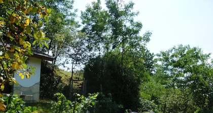 Cómoda casa de vacaciones en los viñedos, en una ubicación absolutamente tranquila.