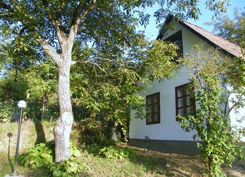 Comfortable holiday home in the vineyards, in an absolutely quiet location
