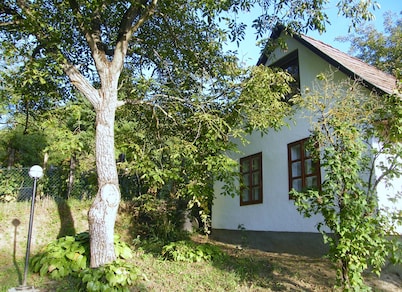 Comfortable holiday home in the vineyards, in an absolutely quiet location