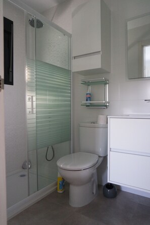 A bathroom with a glass-enclosed shower, a toilet, a sink, and a mirror. - Modern bungalow with heated pool, 50m from the sea - whirlpool - (Cala Pi)
