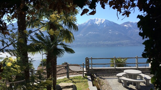 A scenic view of a mountainous landscape with a lake, a palm tree, and a stone bench area.