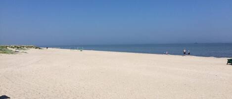 بالقرب من الشاطئ