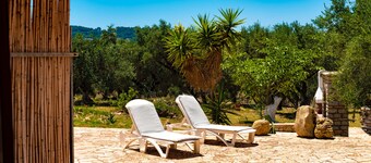 Quietly located in the olive grove, close to the sea and only 32 km from Olympia.