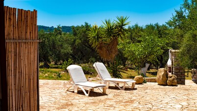 Quietly located in the olive grove, close to the sea and only 32 km from Olympia.