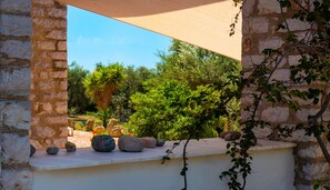 Property grounds - Quietly located in the olive grove, close to the sea and only 32 km from Olympia. (Agios Ilias Pyrgos)
