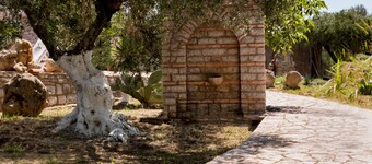 Quietly located in the olive grove, close to the sea and only 32 km from Olympia.