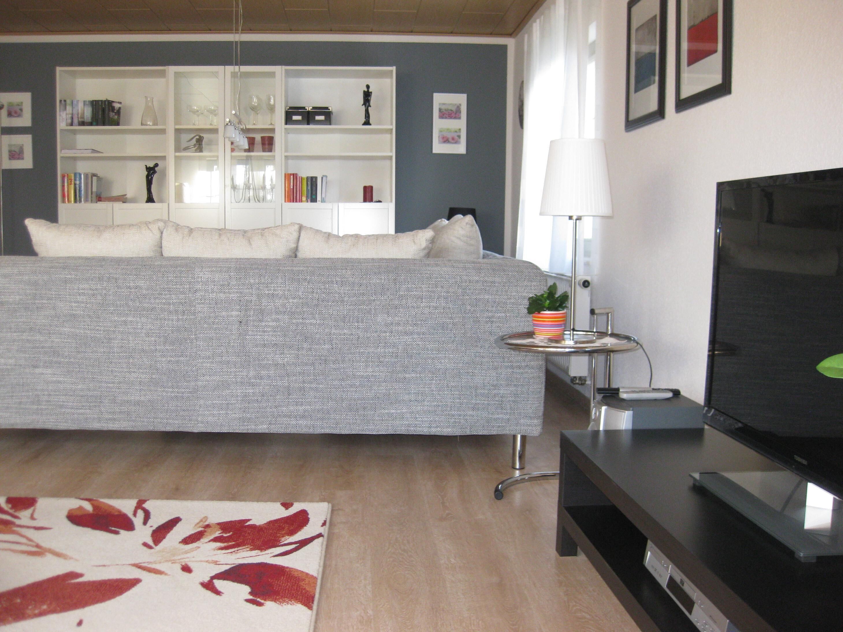 TV, DVD player, books, video library