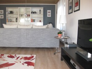 電視、DVD 播放機、書籍、影像庫