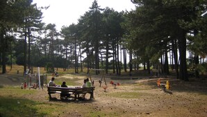 Un parc avec un banc en bois, des jeux pour enfants et de grands arbres.