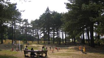 Children’s area