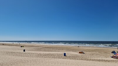 Allergy-friendly FH with gigabit internet, beach cabin and swimming pool